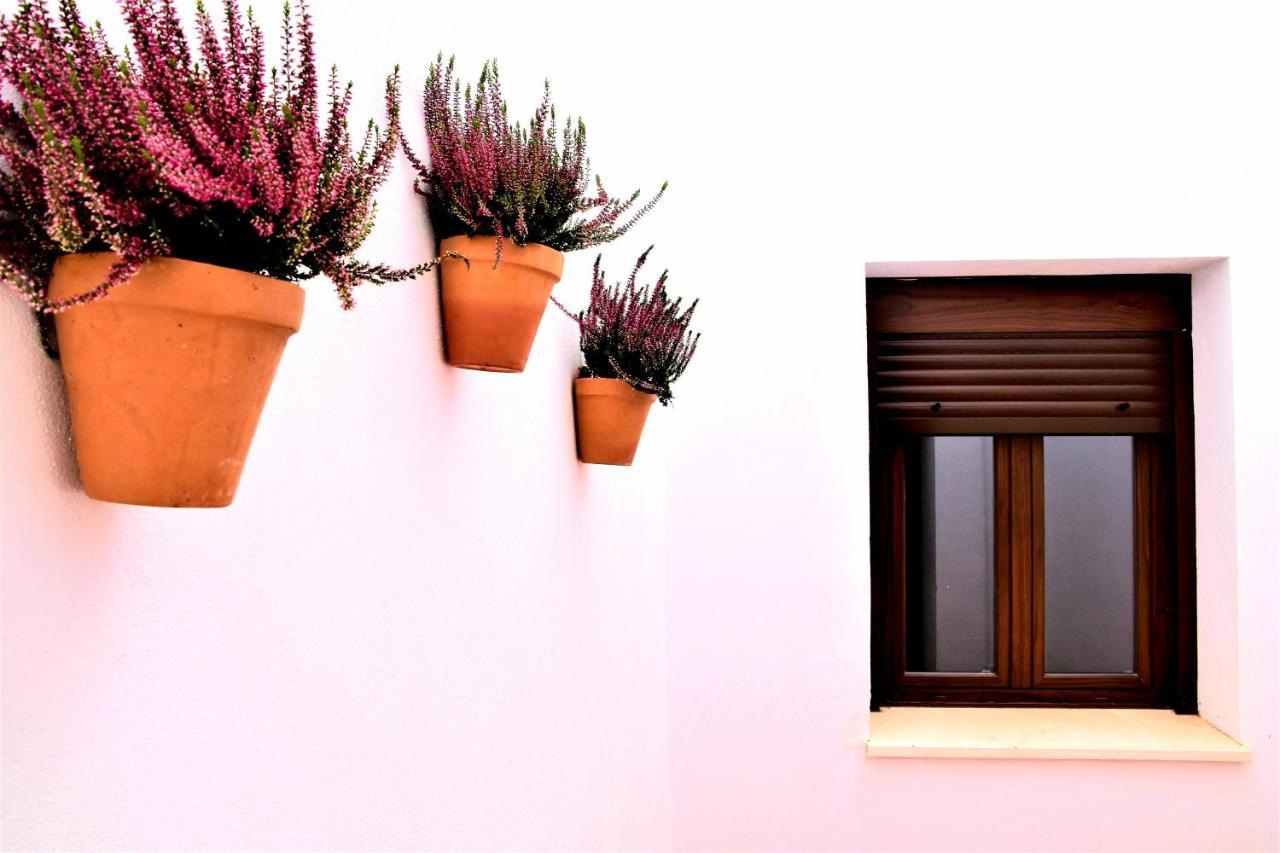 Apartamentos Turisticos Mamelon Jerez de la Frontera Zewnętrze zdjęcie
